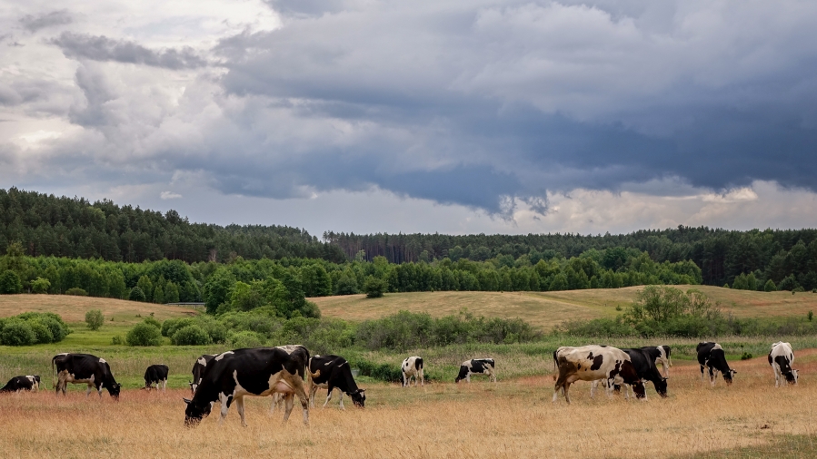 Fot. TwojaPogoda.pl