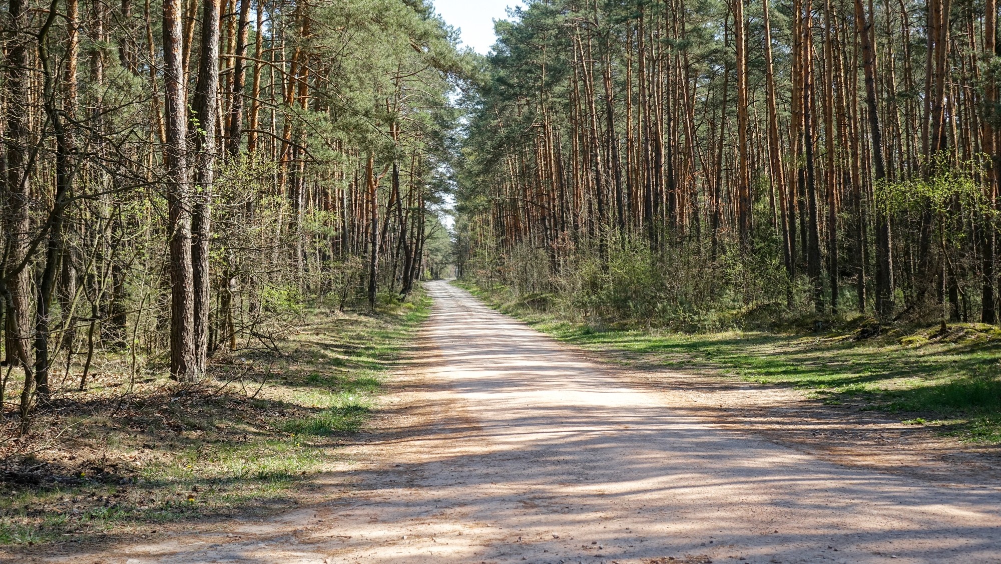 Kwiecień w obiektywie - zdjęcie 47