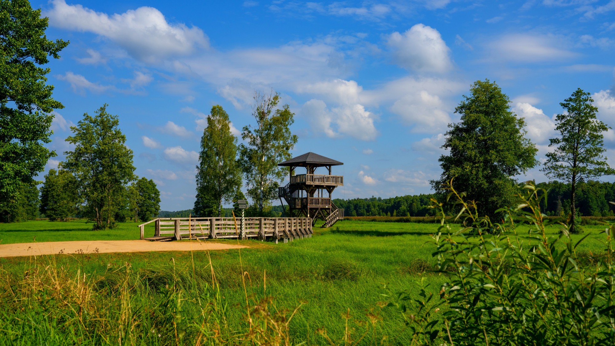 Wśród natury - zdjęcie 31