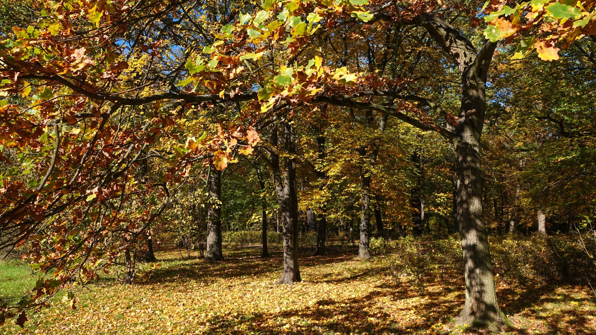 Wszystkie barwy jesieni - zdjęcie 61