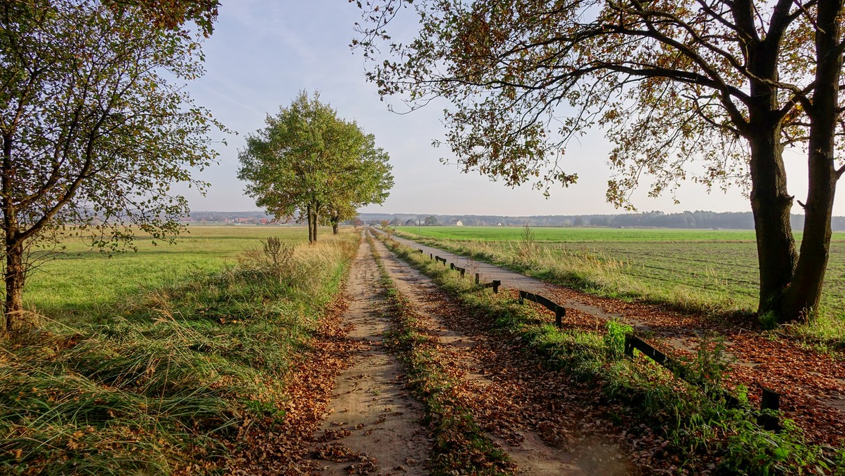 Najpiękniejsze polskie drogi - zdjęcie 7