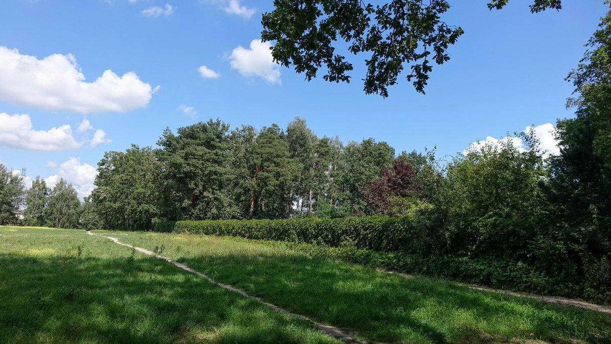 Sierpień w obiektywie - zdjęcie 19