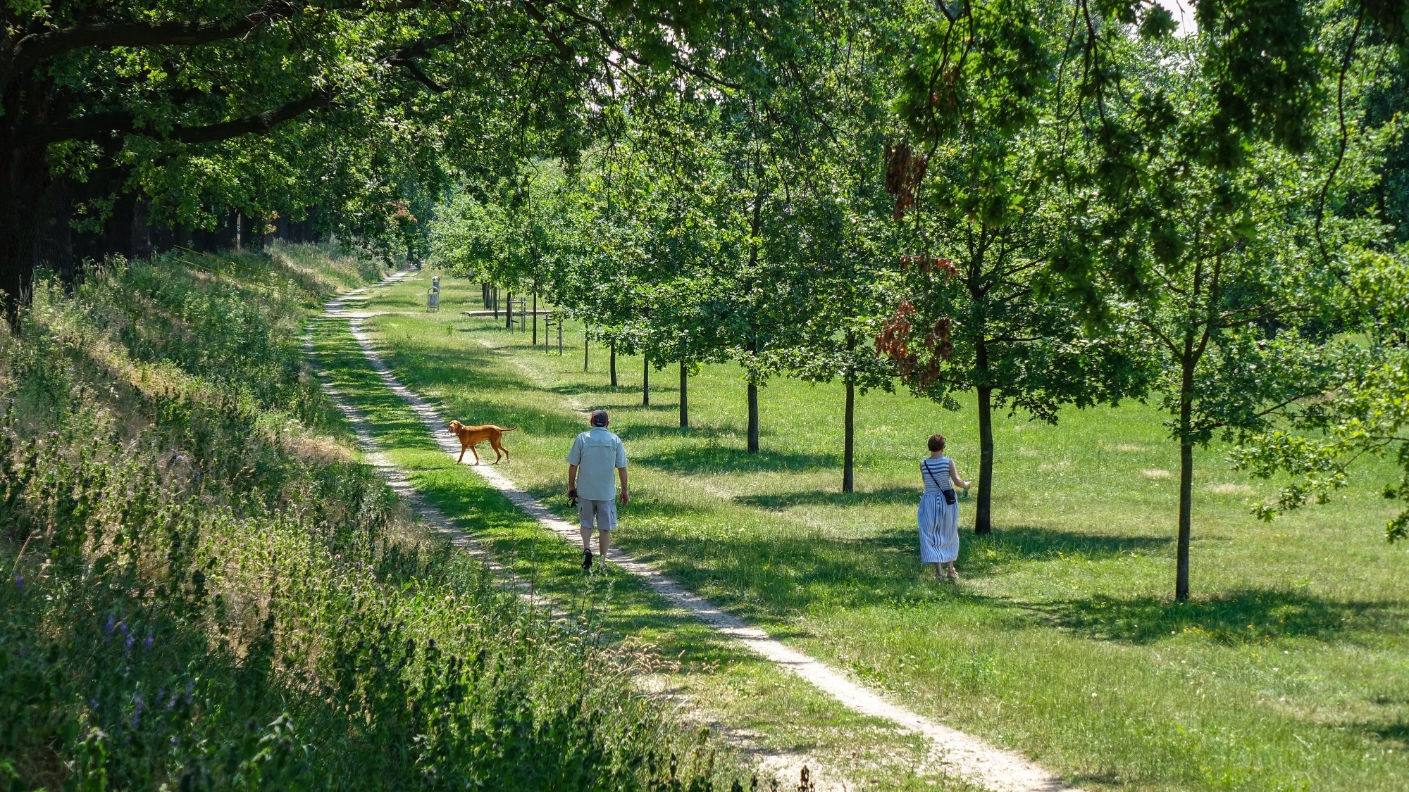 Wakacyjne podróże - zdjęcie 17