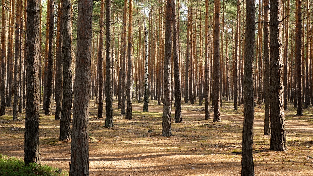 Październik w obiektywie - zdjęcie 40