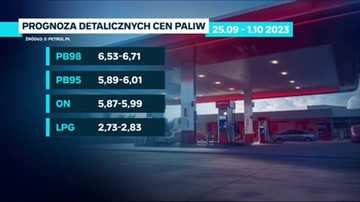 Spadek cen paliw w Polsce. Analityk rynku: Z ekonomią ma to mniej wspólnego
