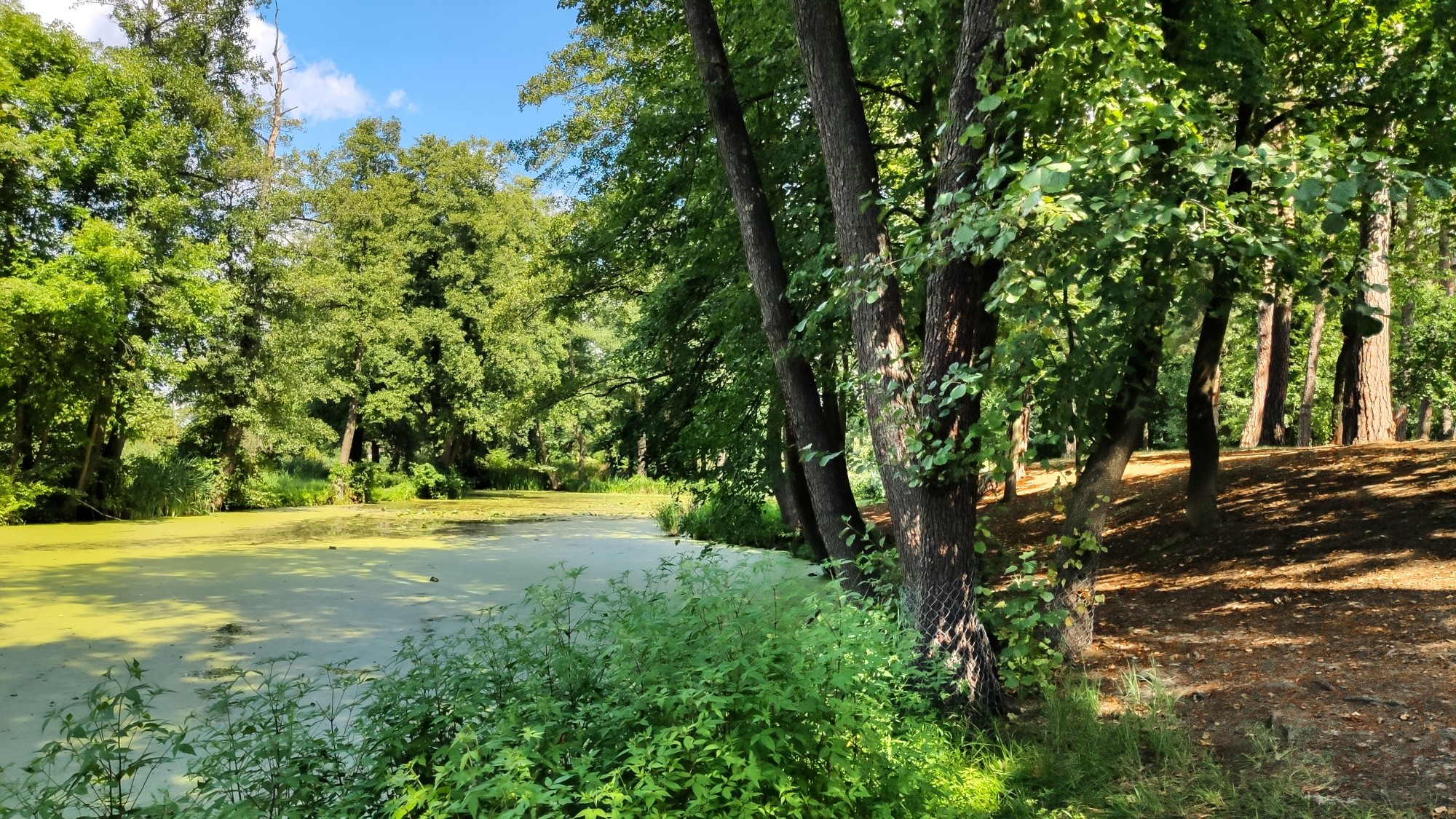 Sierpień w obiektywie - zdjęcie 6