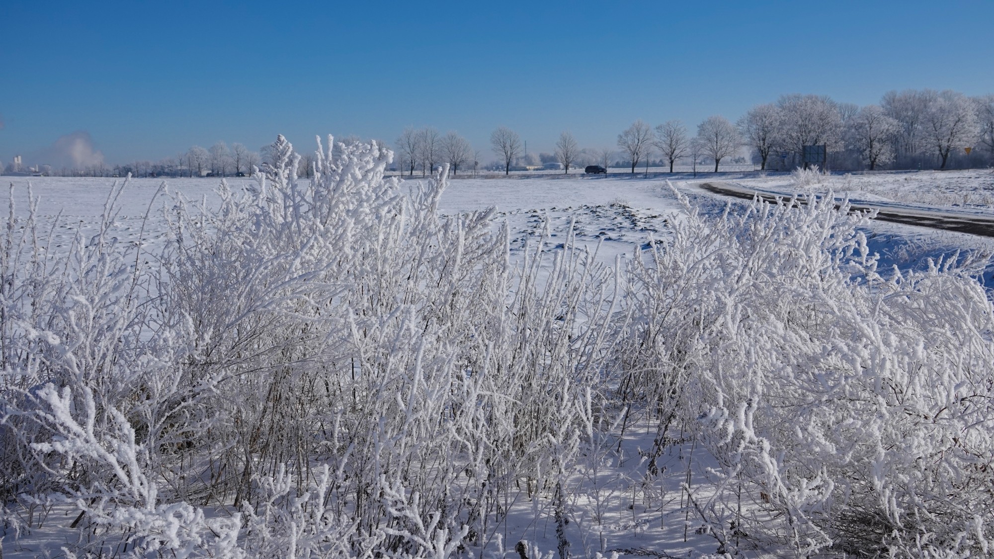 Kraina Narnii - zdjęcie 12