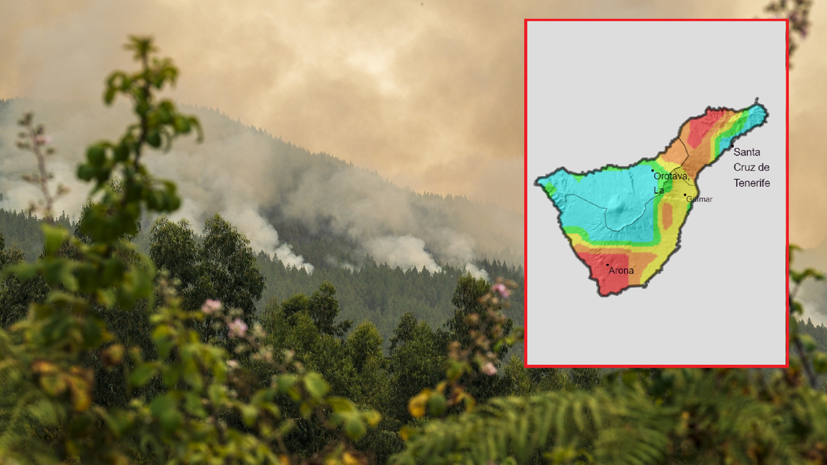 Pożary na Teneryfie. Spłonęła jedna trzecia lasów wyspy