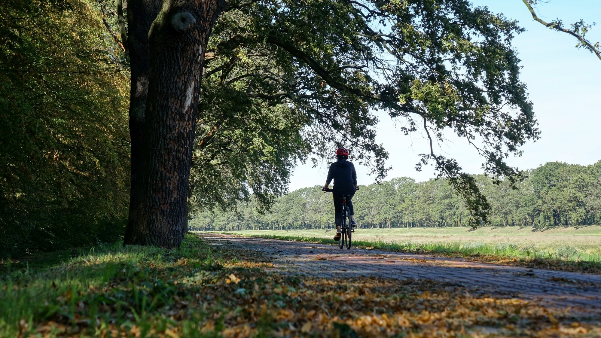 Wrzesień w obiektywie - zdjęcie 47