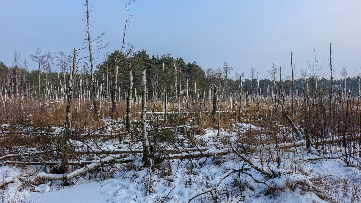 Styczeń w obiektywie - zdjęcie 8
