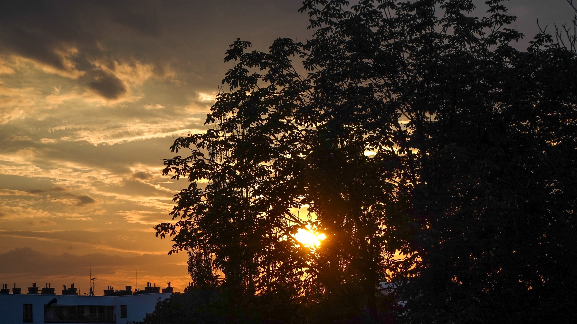 Romantyczne zachody Słońca - zdjęcie 24