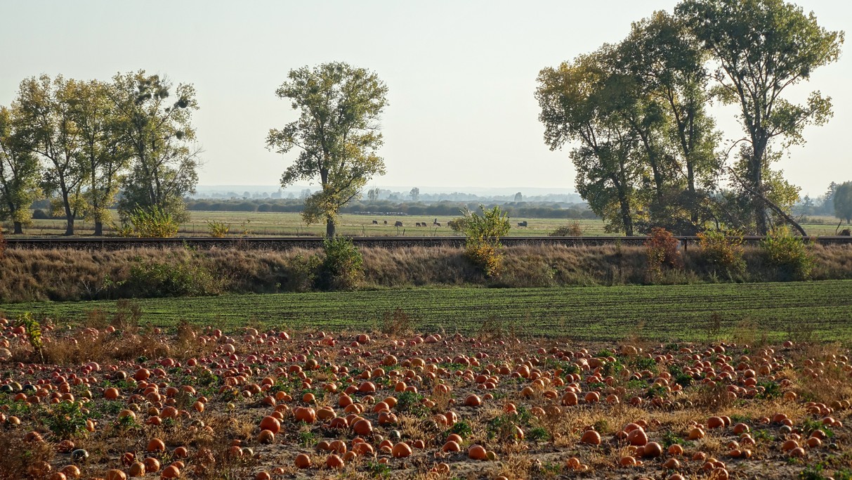 Podróż przez jesienną Polskę - zdjęcie 63
