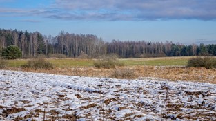 01.11.2019 11:00 Jaki będzie listopad? Wyjątkowo ciepły, a może mroźny i śnieżny? Sprawdź prognozę!