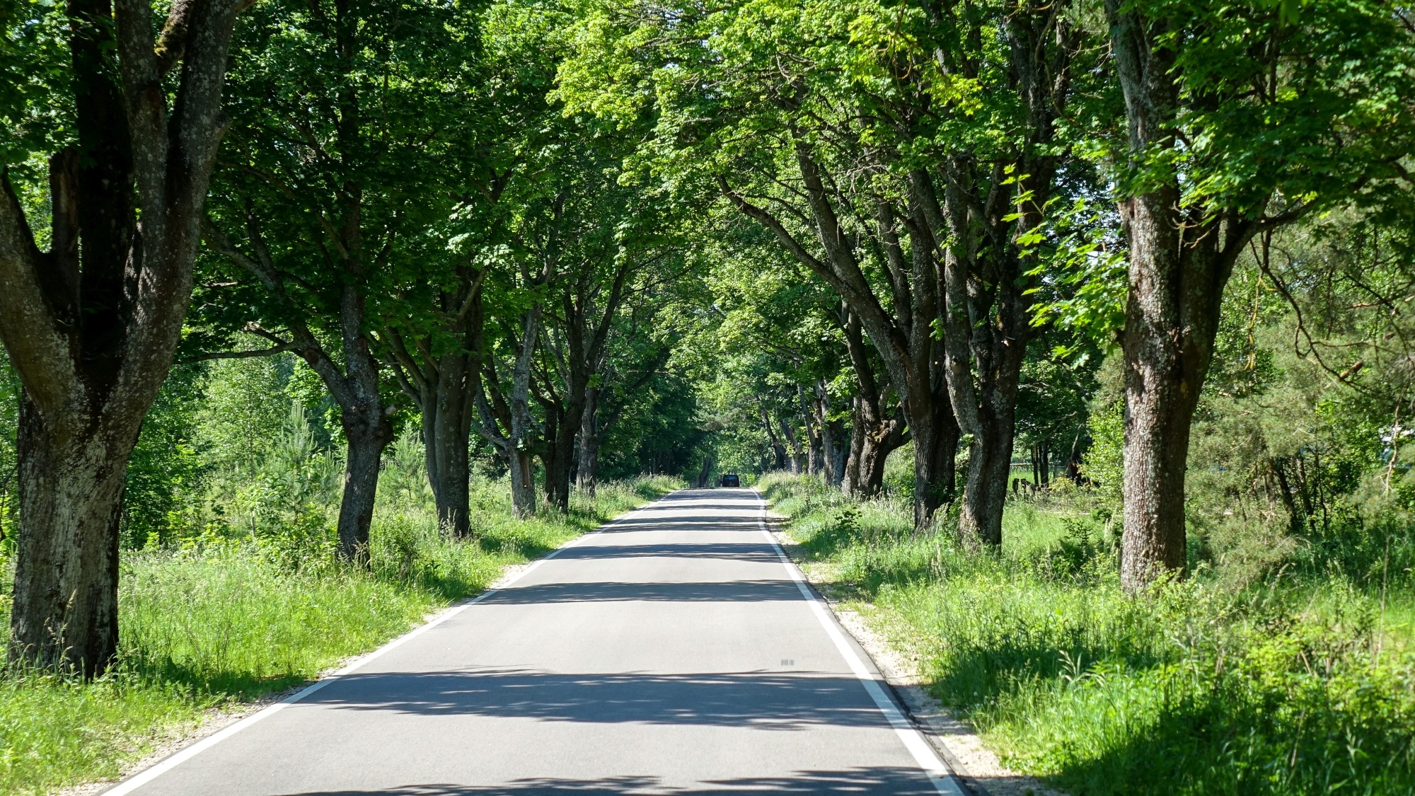 Cztery wakacyjne oblicza Polski - zdjęcie 44