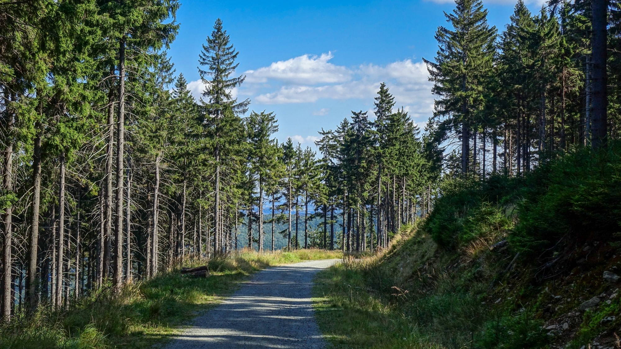 Późne lato na łonie natury - zdjęcie 16