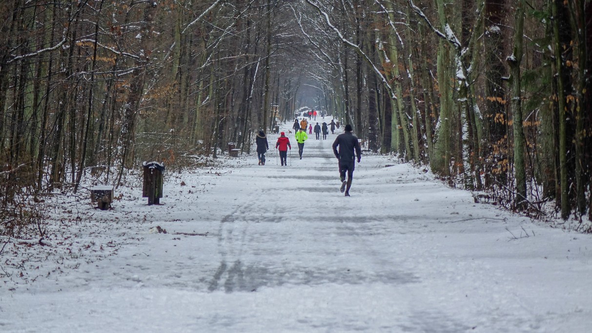Styczeń w obiektywie - zdjęcie 63