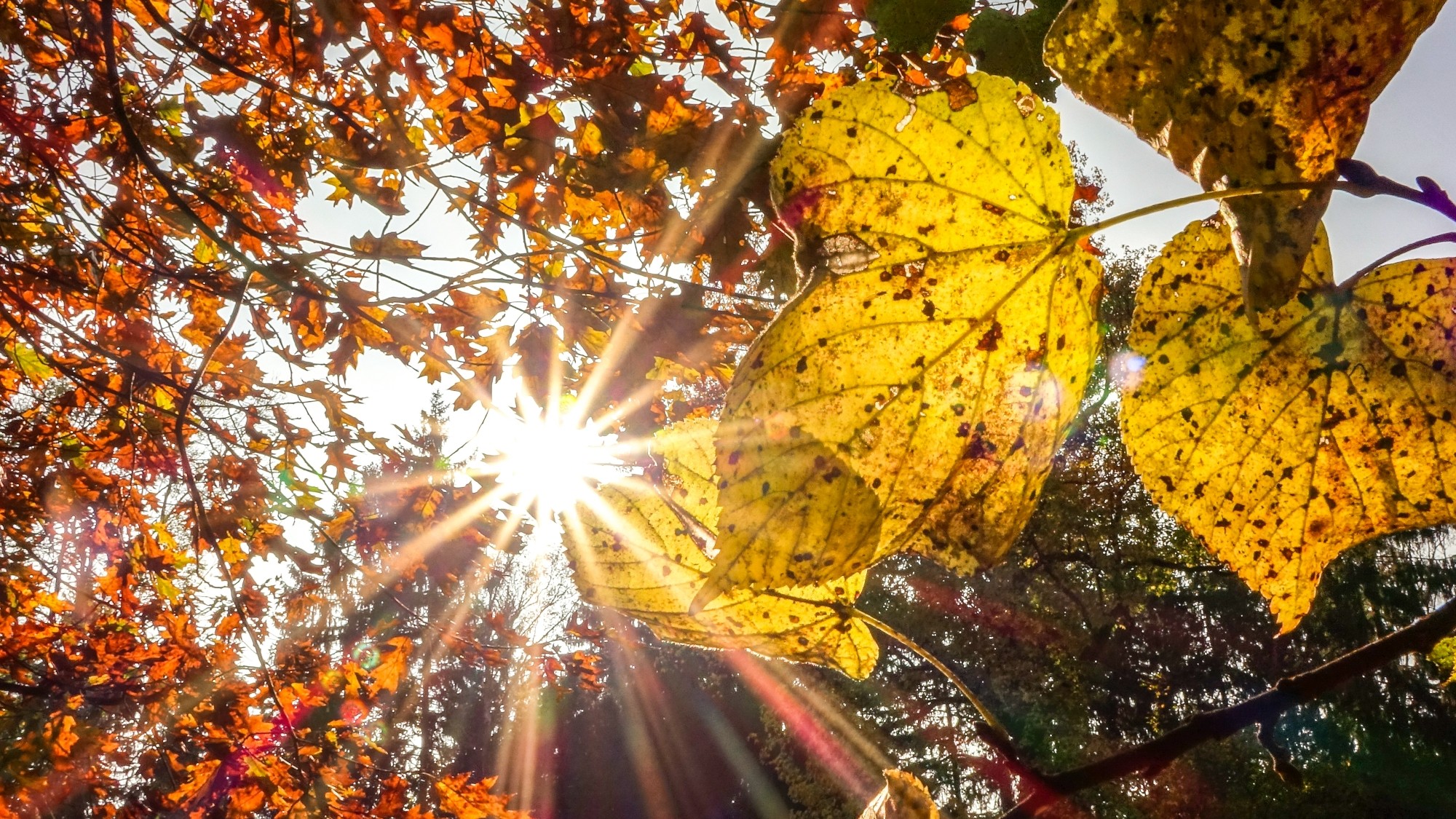 Jesień w górach, lasach i nad jeziorami - zdjęcie 34