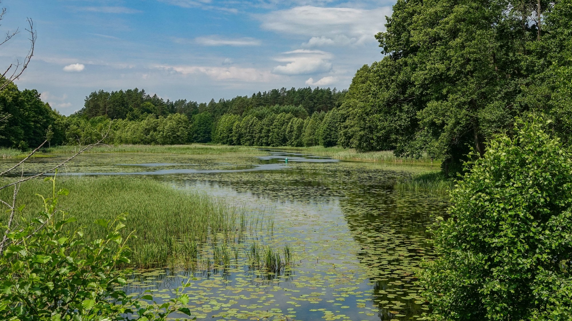 Letnie klimaty na łonie natury - zdjęcie 19