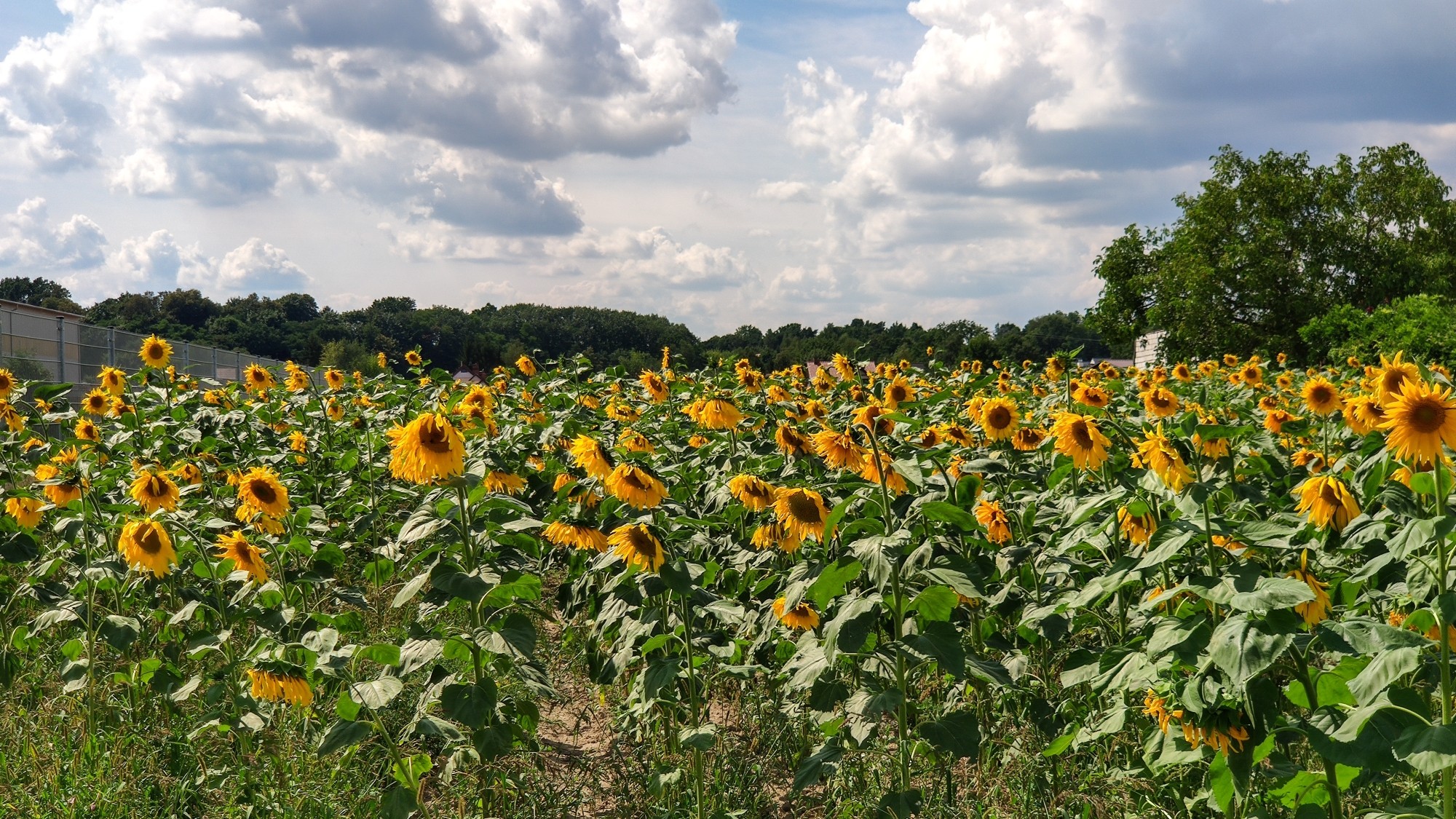Sierpień w obiektywie - zdjęcie 42