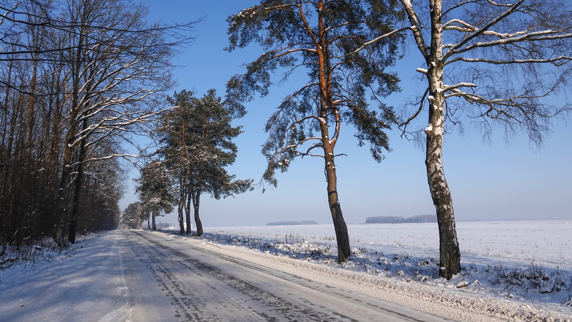 Na lodowym szlaku - zdjęcie 9
