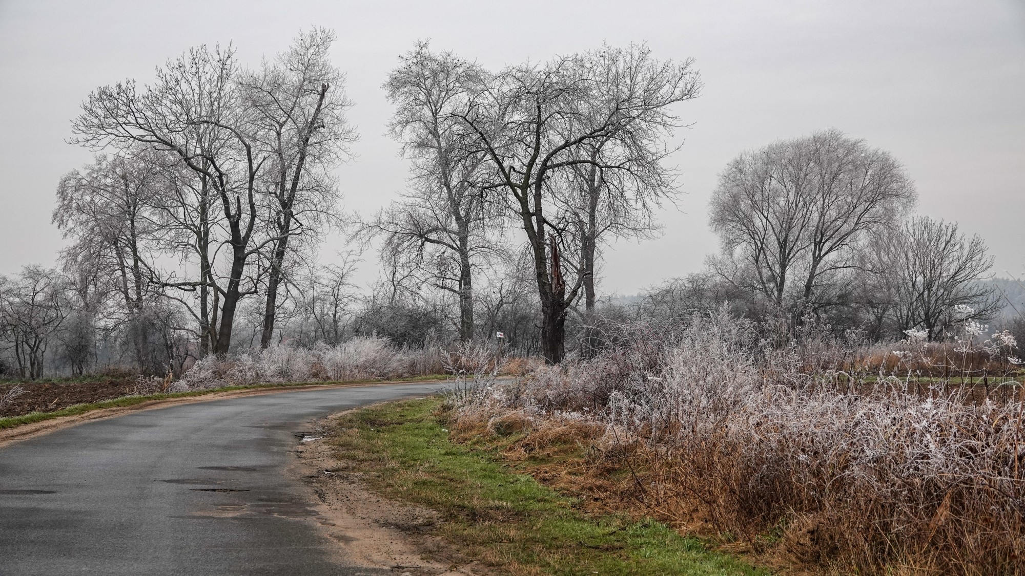 Szron pod lupą - zdjęcie 43