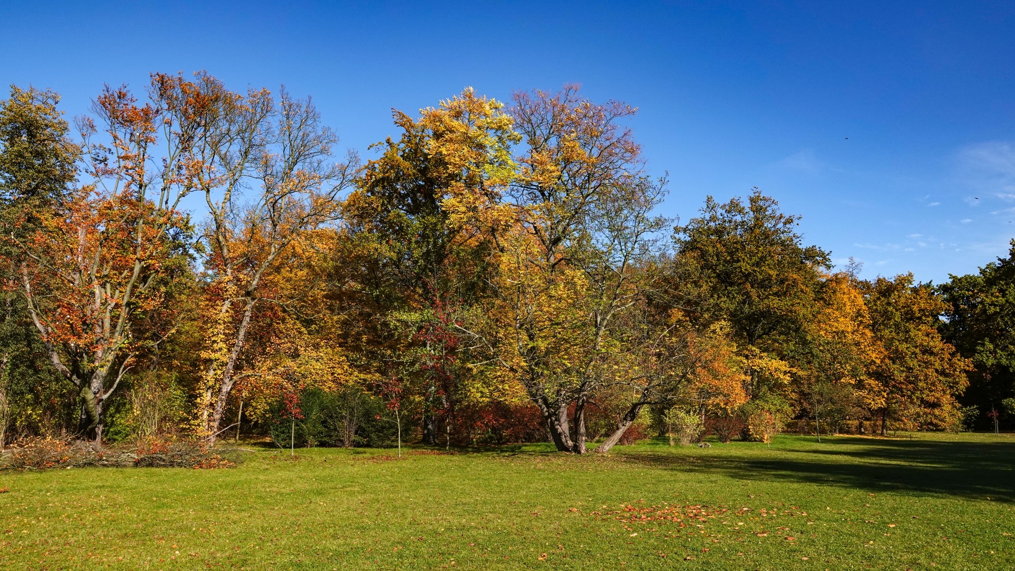 Wszystkie barwy jesieni - zdjęcie 69