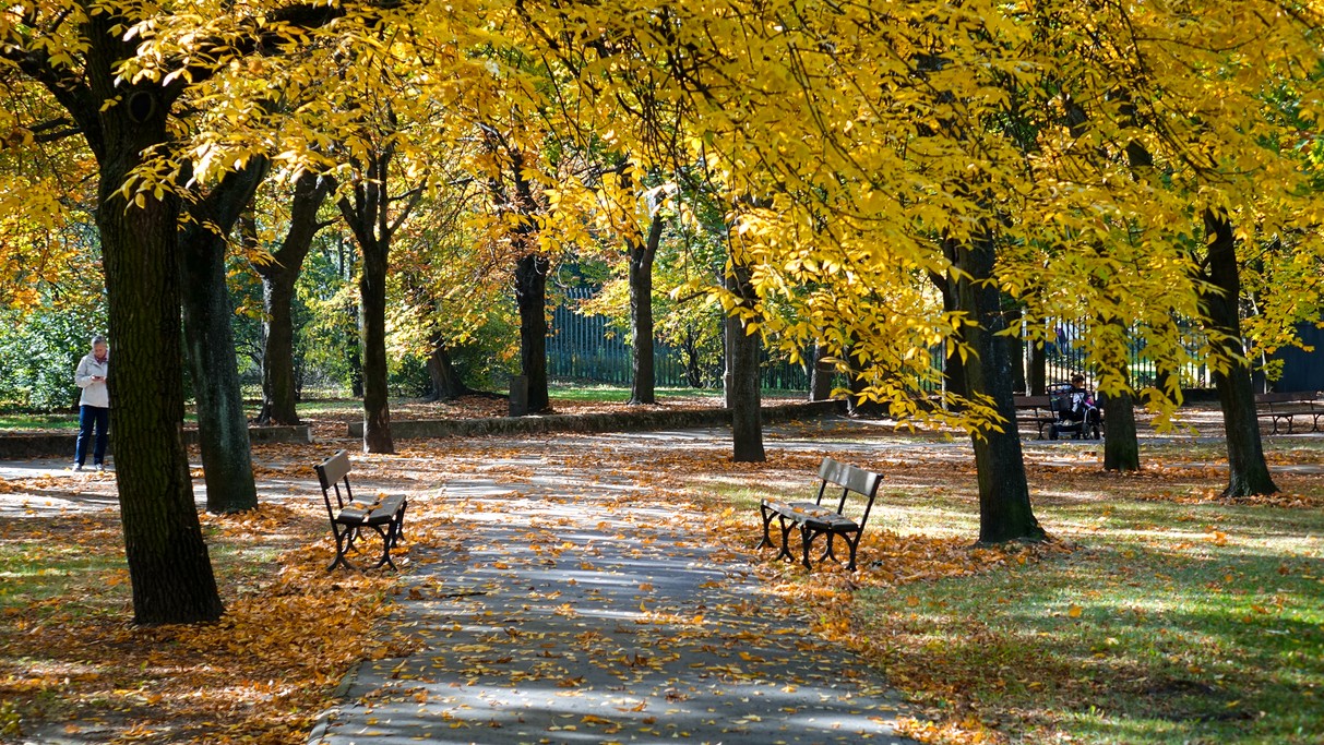 Jesienne krajobrazy za miastem - zdjęcie 81