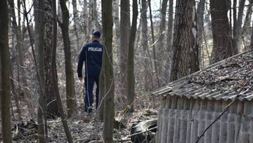 Zamieszkał w leśnej ziemiance. "Sporadycznie" z niej wychodził