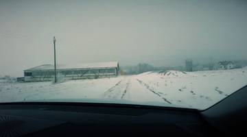 "Święta obora" chroni przed komornikiem. Dłużnik unika zwrotu pieniędzy