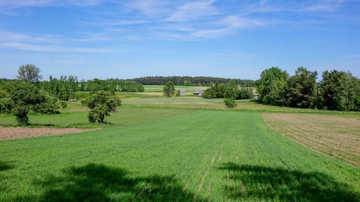 Czerwiec w obiektywie - zdjęcie 23