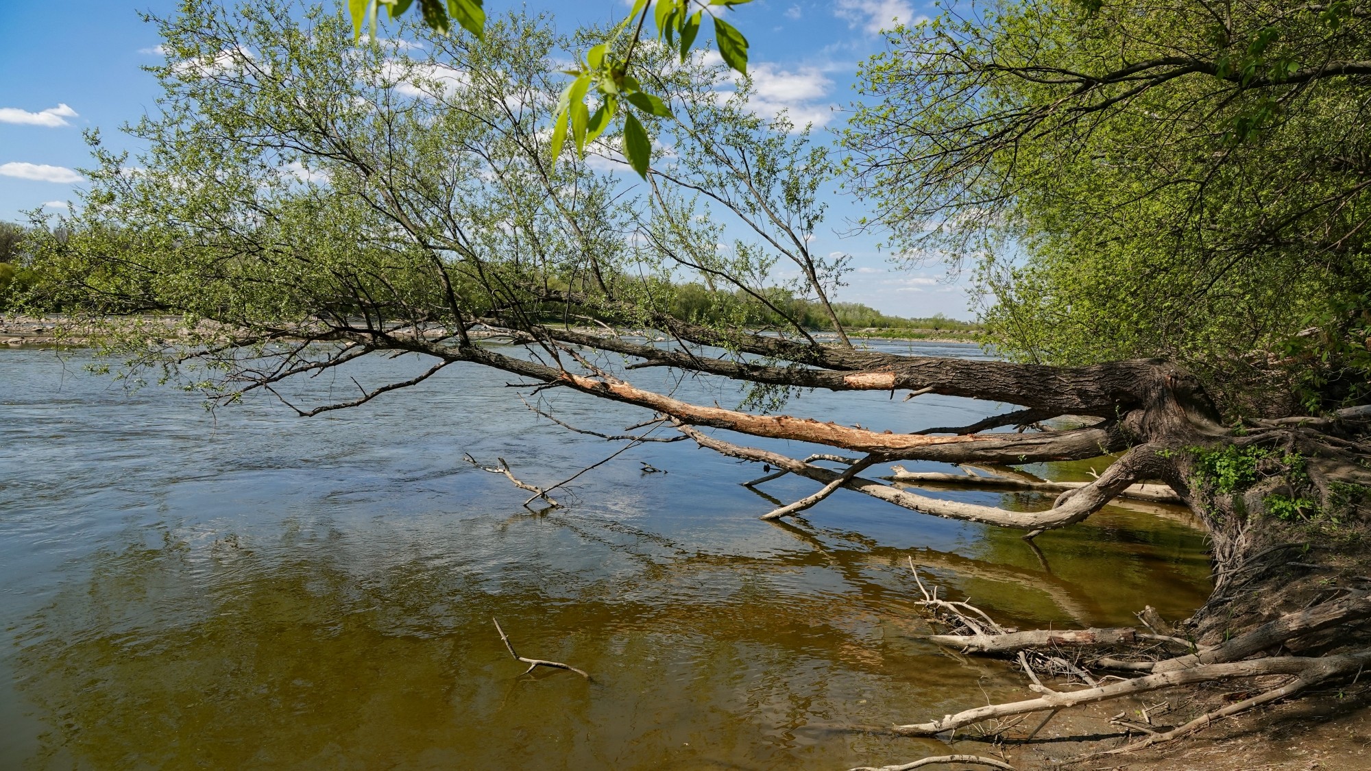 Wypoczynek nad wodą - zdjęcie 26