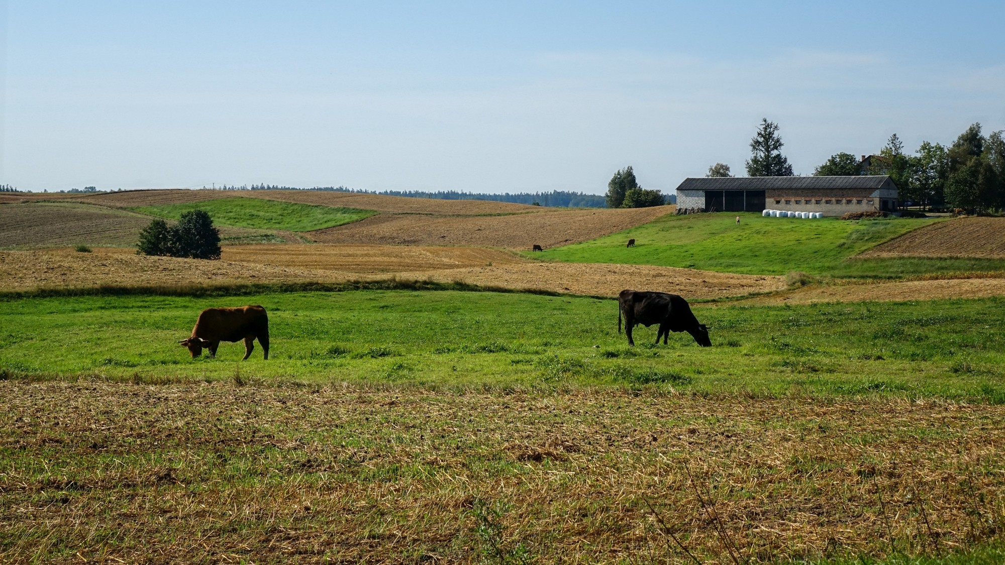 Koniec lata w pięknej Polsce - zdjęcie 22