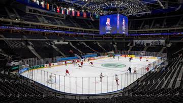 MŚ w hokeju: Finlandia - Wielka Brytania. Relacja live i wynik na żywo