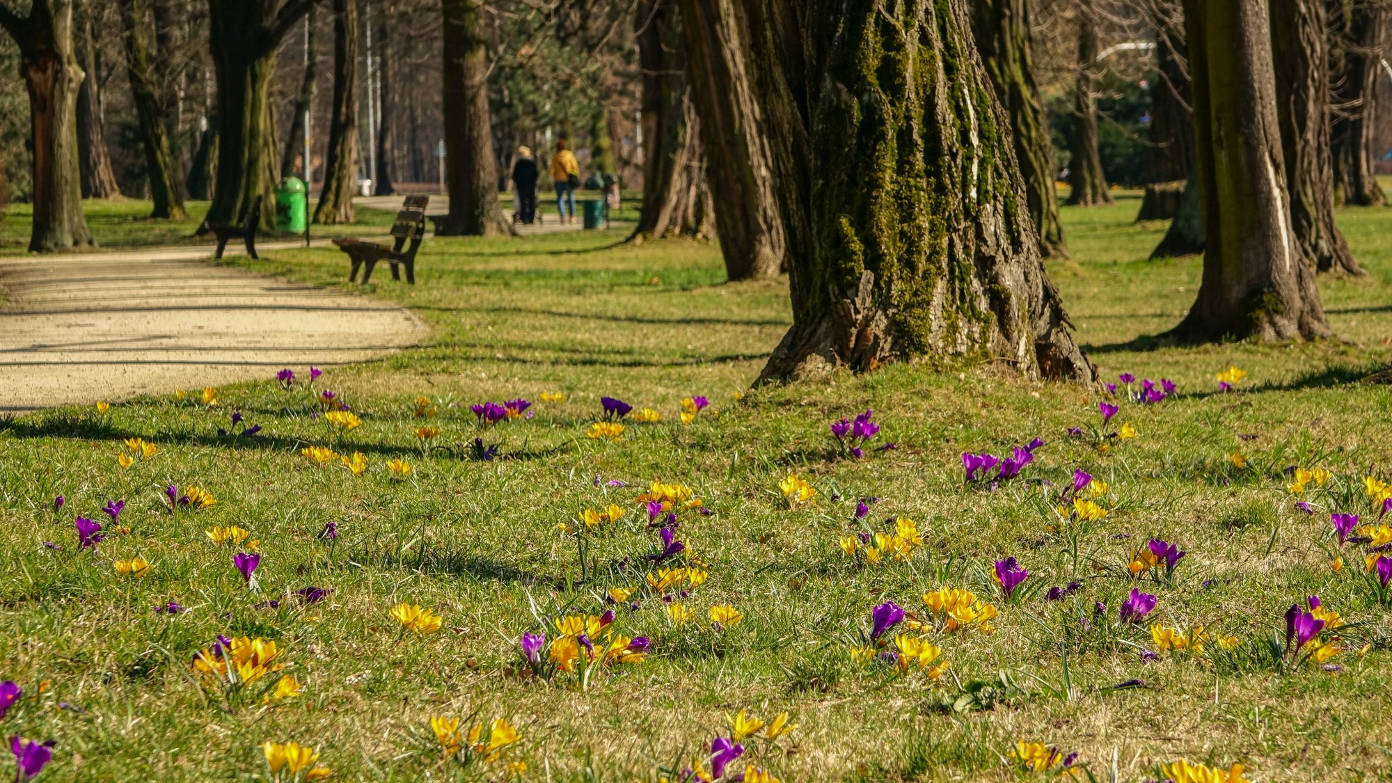 Wiosenna pobudka - zdjęcie 25