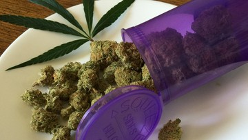"Nie ma czegoś takiego jak medyczna marihuana" - stwierdził wiceminister zdrowia