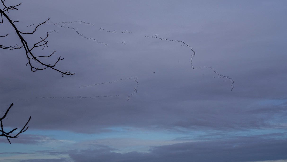 Styczeń w obiektywie - zdjęcie 47