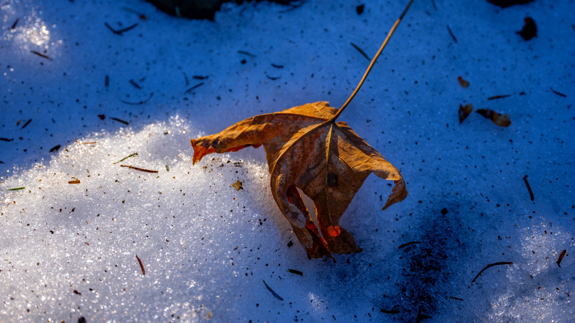 Zima w górach - zdjęcie 25