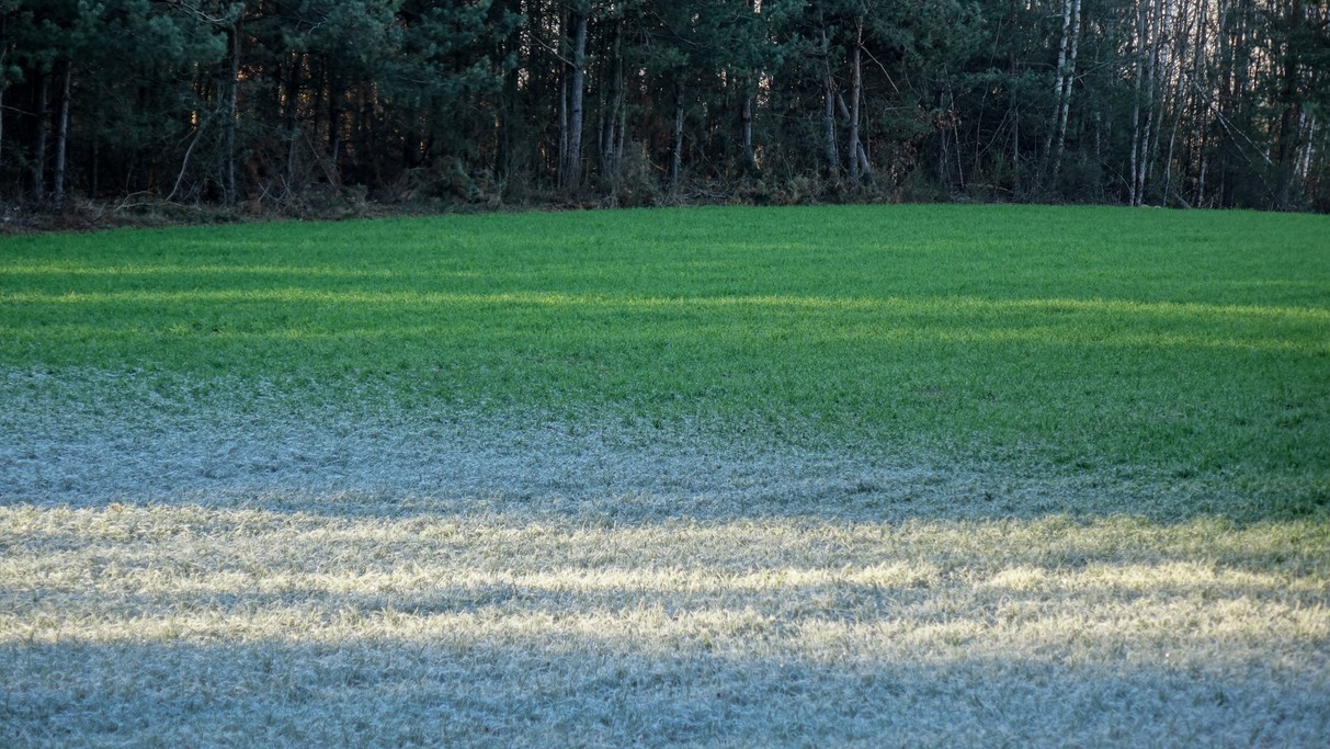 Listopad w obiektywie - zdjęcie 20