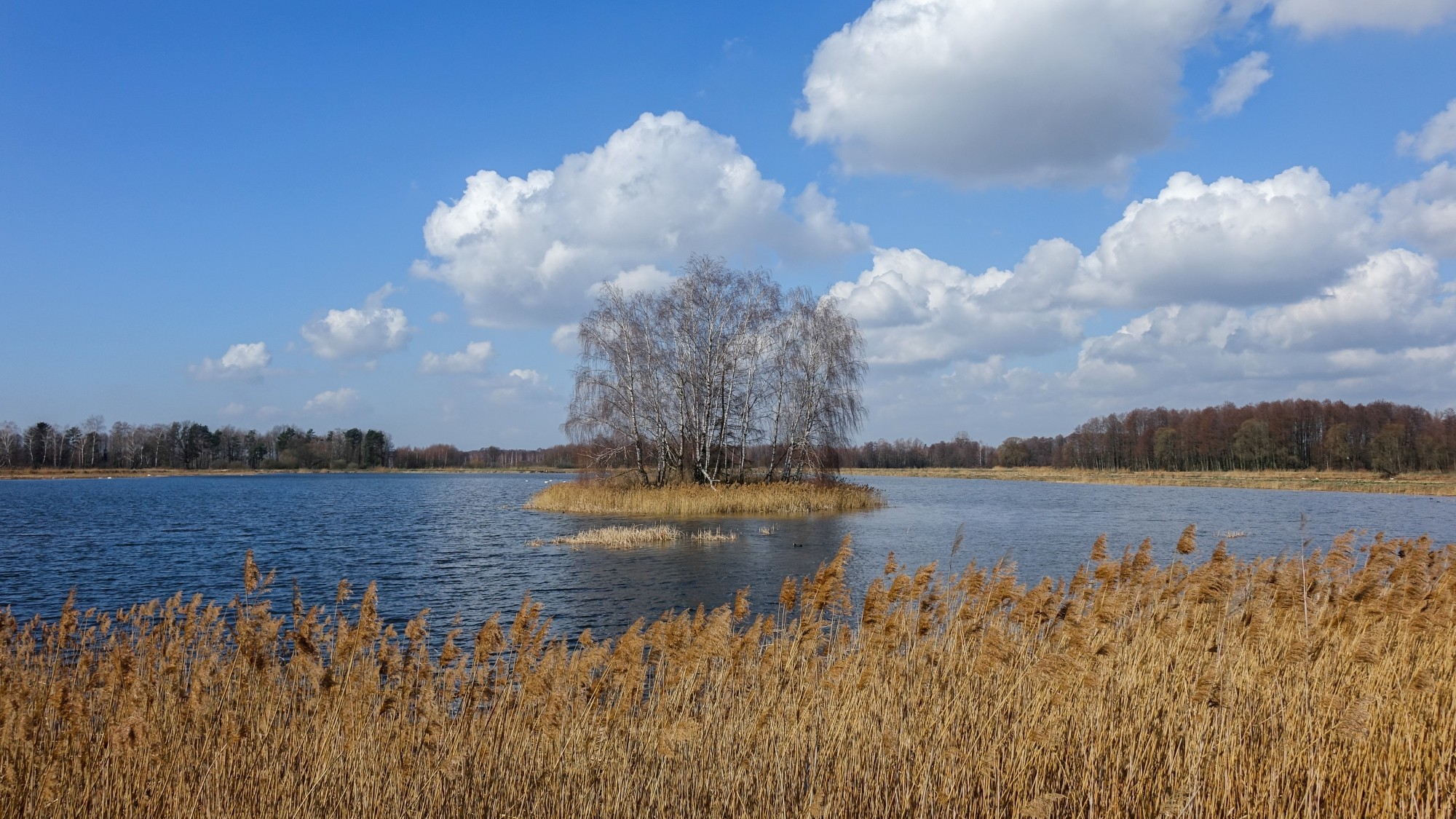 Wypoczynek nad wodą - zdjęcie 6