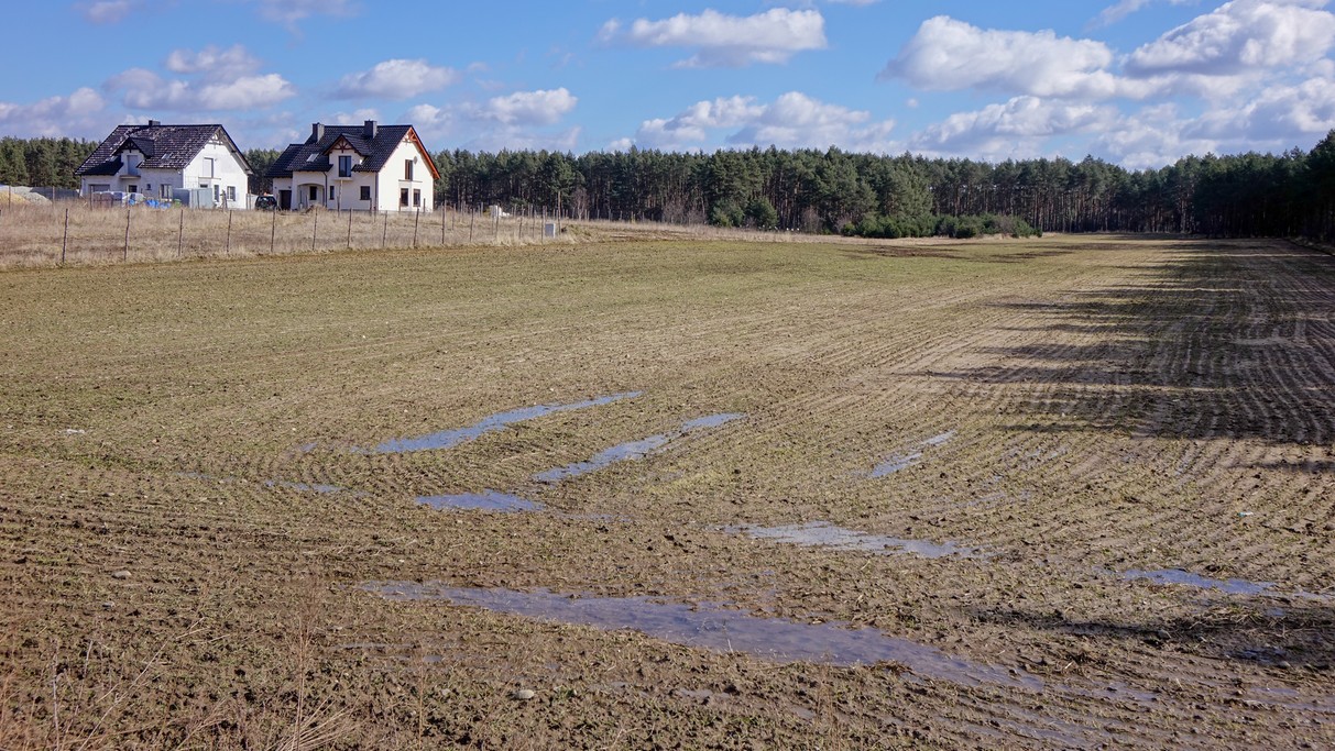 Marzec w obiektywie - zdjęcie 61