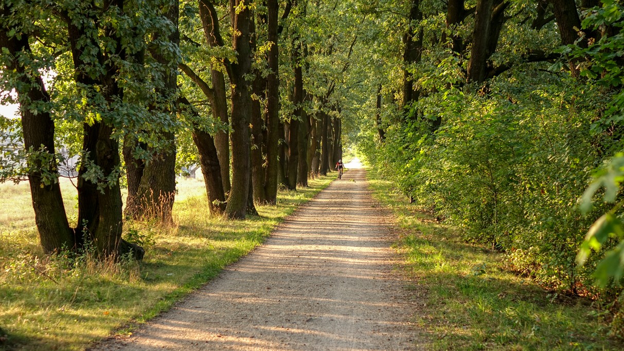 Wrzesień w obiektywie - zdjęcie 5