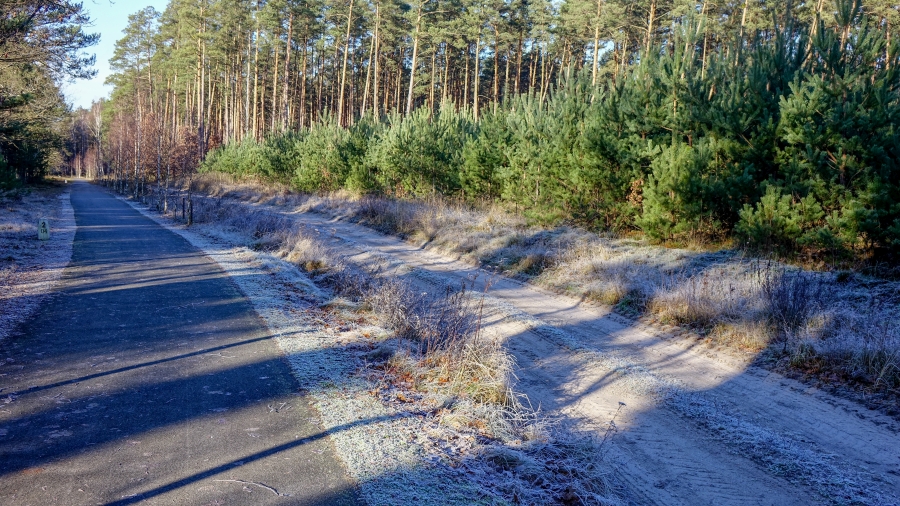 08.01.2018 00:00 Grudzień w obiektywie