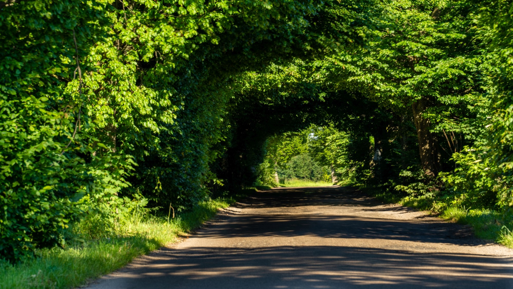 Kolory lata - zdjęcie 35