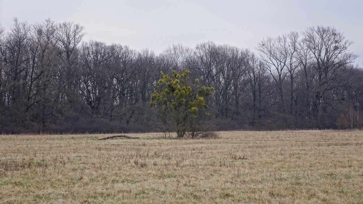 Styczeń w obiektywie - zdjęcie 37