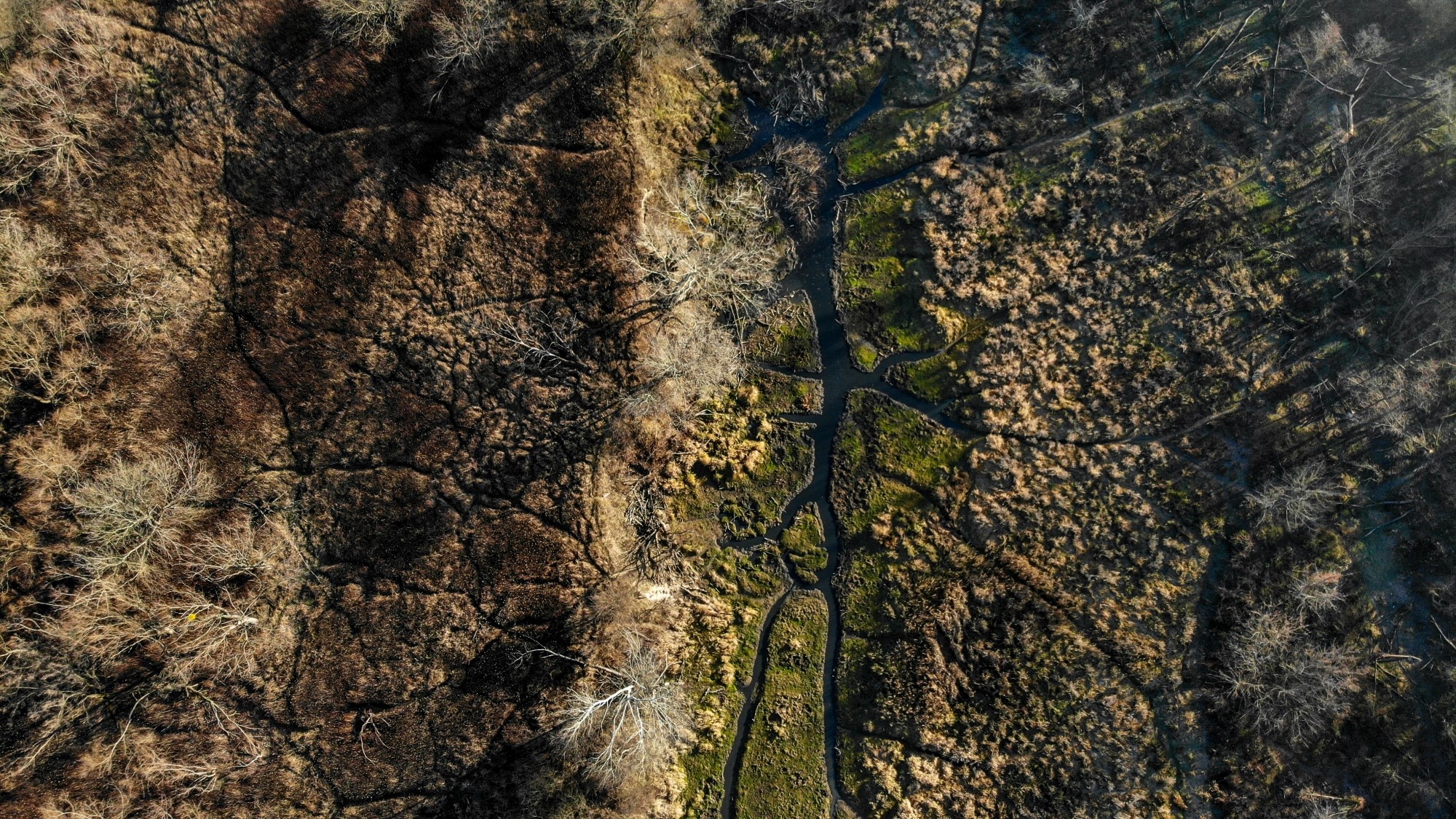 Niesamowita Polska z lotu ptaka - zdjęcie 71