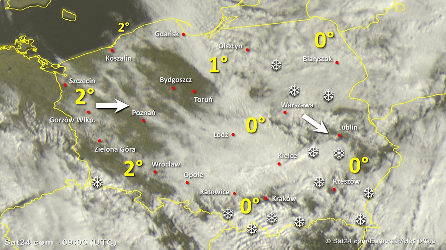 Zdjęcie satelitarne Polski w dniu 12 lutego 2019 o godzinie 10:00. Dane: Sat24.com / Eumetsat.