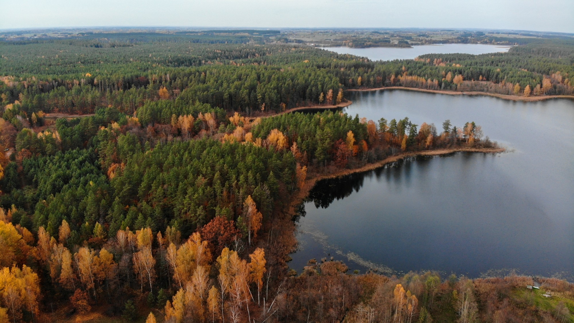 Jesień na nizinach z lotu ptaka - zdjęcie 30