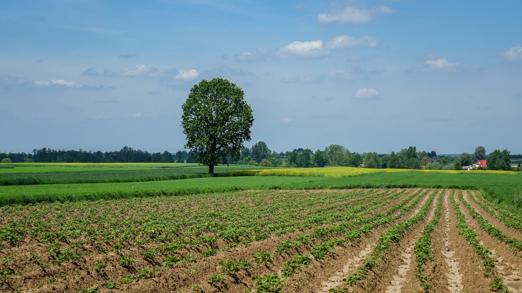 Całe piękno polskiej prowincji - zdjęcie 42