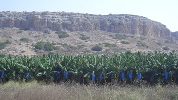 Groźba suszy w Izraelu. Minister rolnictwa: módlcie się o deszcz