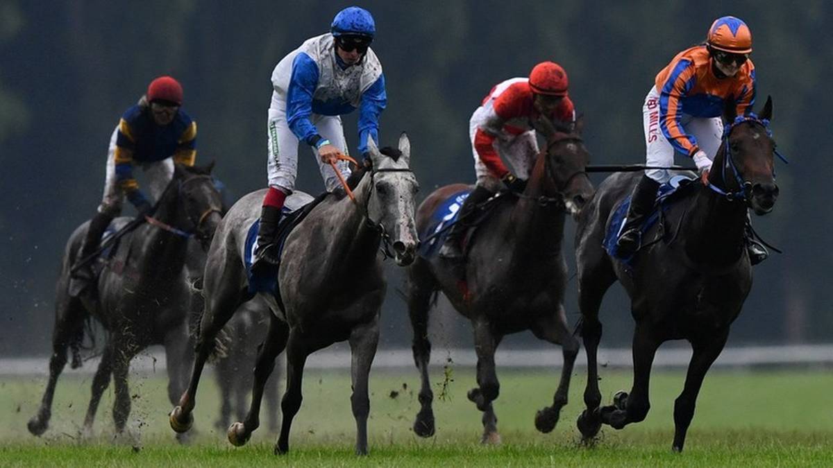 Prestiżowy milerski wyścig Qatar Sussex Stakes w Polsacie Sport